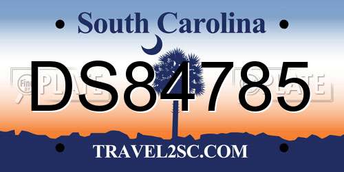 DS84785 South Carolina License Plate