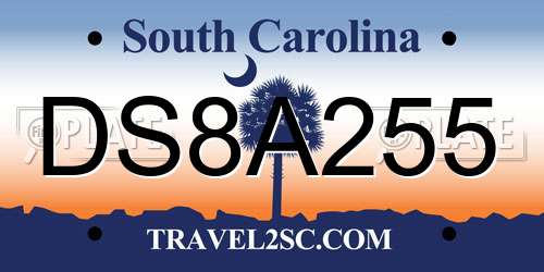 DS8A255 South Carolina License Plate
