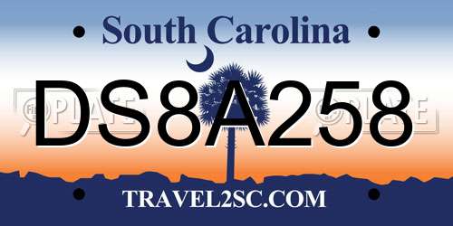 DS8A258 South Carolina License Plate