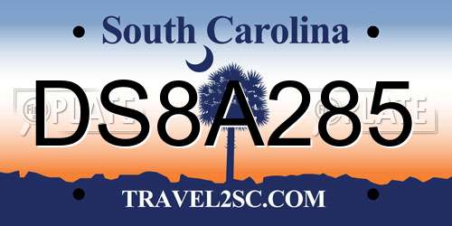 DS8A285 South Carolina License Plate