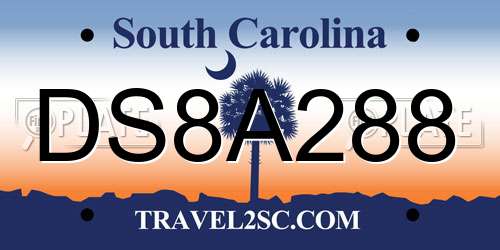 DS8A288 South Carolina License Plate