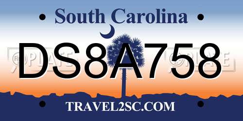 DS8A758 South Carolina License Plate