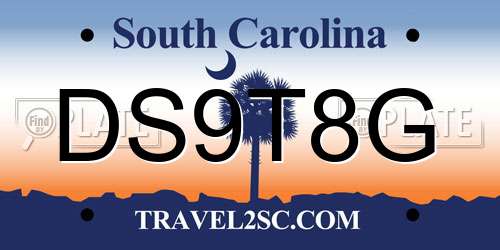 DS9T8G South Carolina License Plate