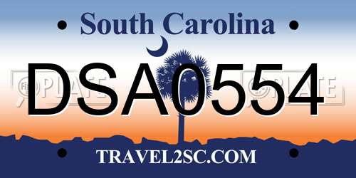 DSA0554 South Carolina License Plate