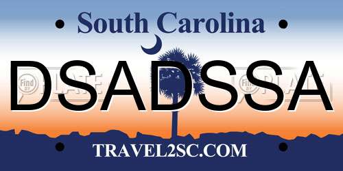 DSADSSA South Carolina License Plate
