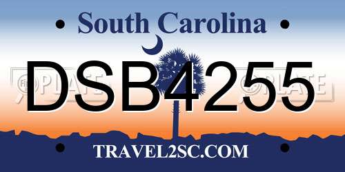 DSB4255 South Carolina License Plate