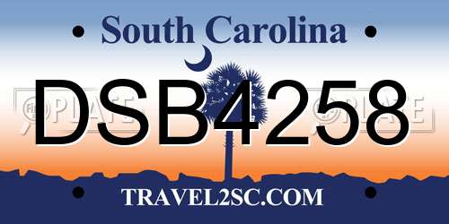 DSB4258 South Carolina License Plate