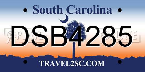 DSB4285 South Carolina License Plate