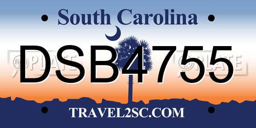 DSB4755 South Carolina License Plate