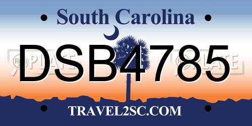 DSB4785 South Carolina License Plate