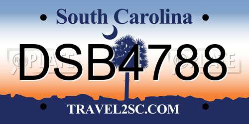 DSB4788 South Carolina License Plate
