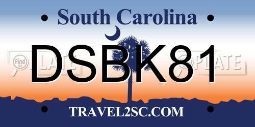DSBK81 South Carolina License Plate
