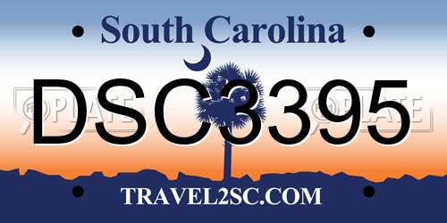 DSC3395 South Carolina License Plate