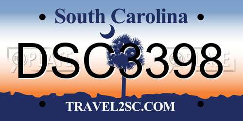 DSC3398 South Carolina License Plate