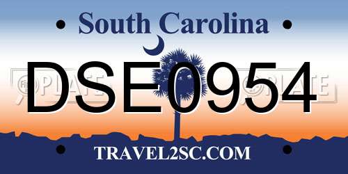 DSE0954 South Carolina License Plate