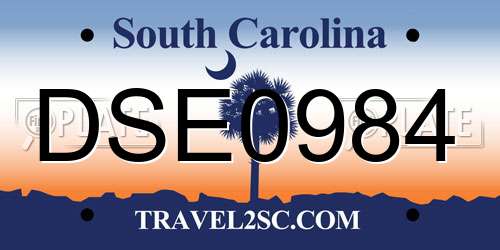 DSE0984 South Carolina License Plate