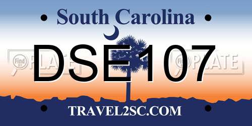 DSE107 South Carolina License Plate