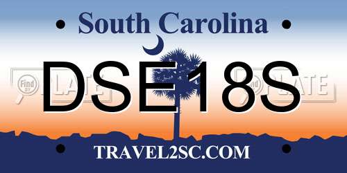 DSE18S South Carolina License Plate