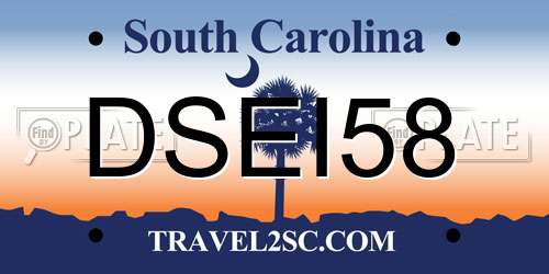 DSEI58 South Carolina License Plate