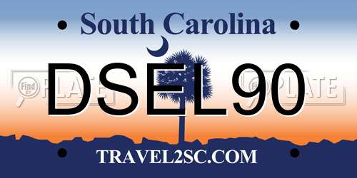 DSEL90 South Carolina License Plate