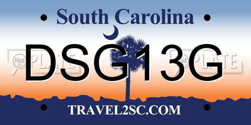 DSG13G South Carolina License Plate