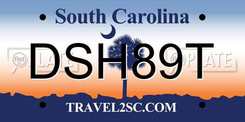 DSH89T South Carolina License Plate