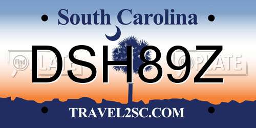 DSH89Z South Carolina License Plate