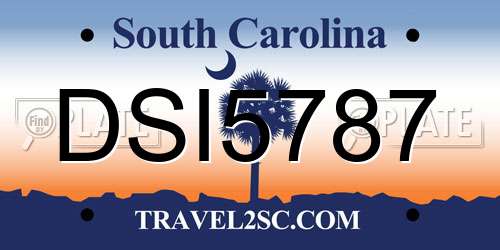 DSI5787 South Carolina License Plate