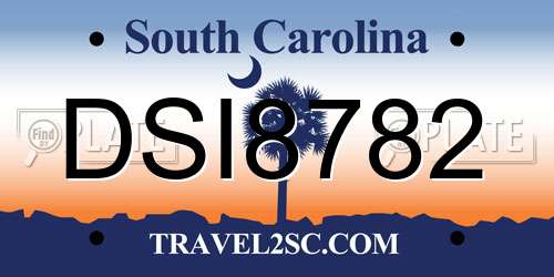 DSI8782 South Carolina License Plate