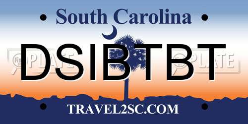DSIBTBT South Carolina License Plate