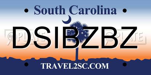 DSIBZBZ South Carolina License Plate