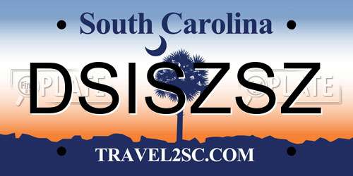 DSISZSZ South Carolina License Plate
