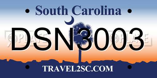 DSN3003 South Carolina License Plate