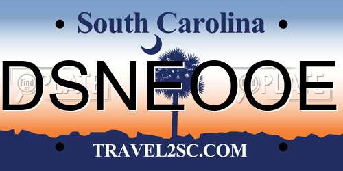DSNEOOE South Carolina License Plate