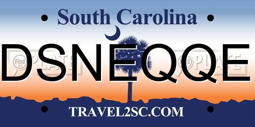 DSNEQQE South Carolina License Plate