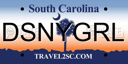 DSNYGRL South Carolina License Plate