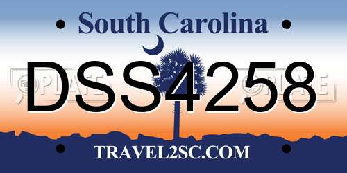 DSS4258 South Carolina License Plate