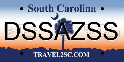 DSSAZSS South Carolina License Plate