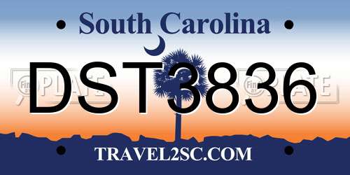 DST3836 South Carolina License Plate