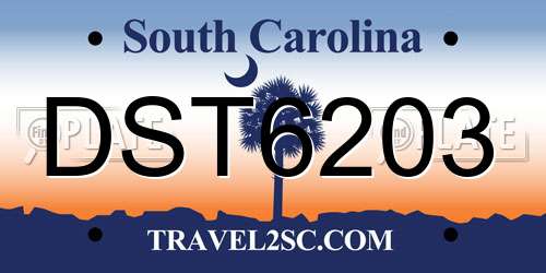 DST6203 South Carolina License Plate