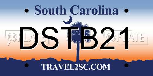 DSTB21 South Carolina License Plate