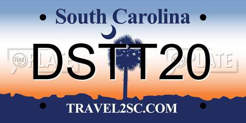 DSTT20 South Carolina License Plate