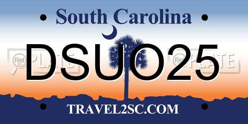 DSUO25 South Carolina License Plate