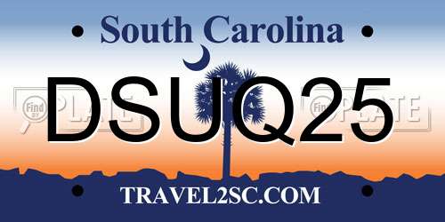 DSUQ25 South Carolina License Plate