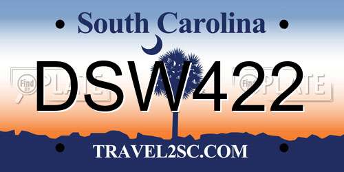 DSW422 South Carolina License Plate