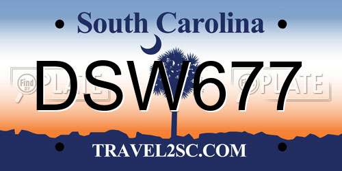 DSW677 South Carolina License Plate