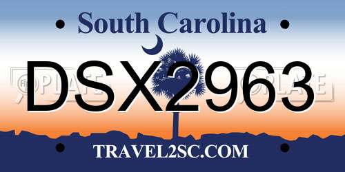 DSX2963 South Carolina License Plate