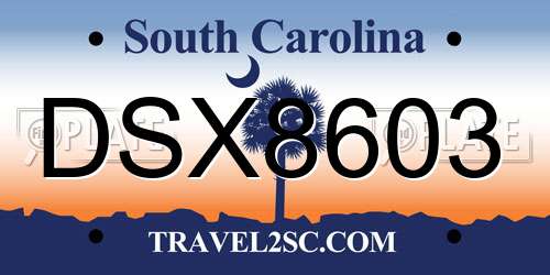 DSX8603 South Carolina License Plate