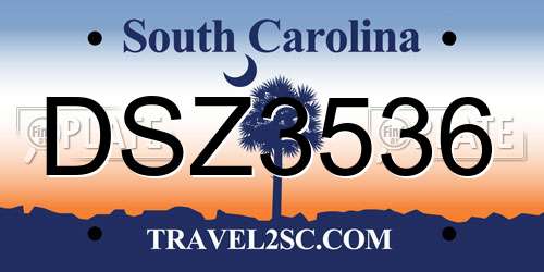 DSZ3536 South Carolina License Plate