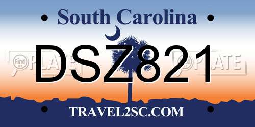 DSZ821 South Carolina License Plate